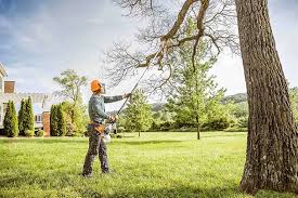 Best Lawn Pest Prevention  in Bellview, FL