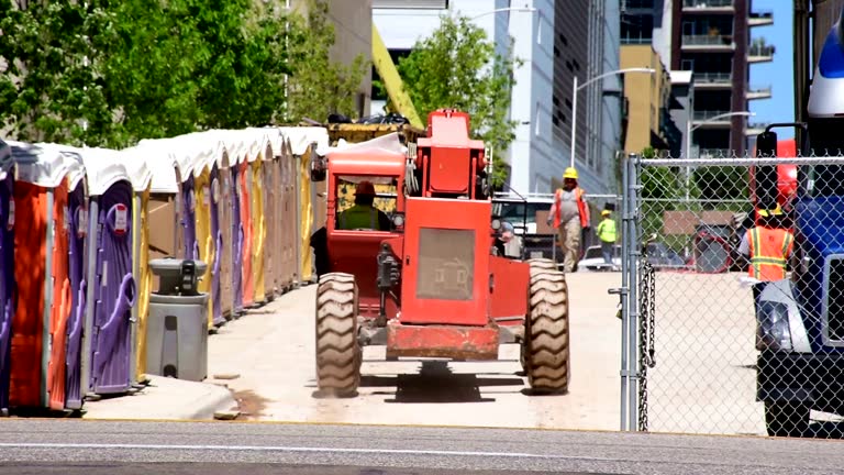 How Our Tree Care Process Works  in  Bellview, FL
